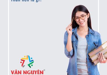 Thân nến là gì?