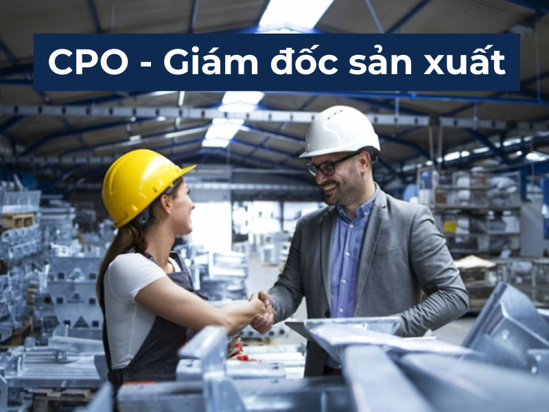 CPO chịu trách nhiệm cho hoạt động sản xuất 