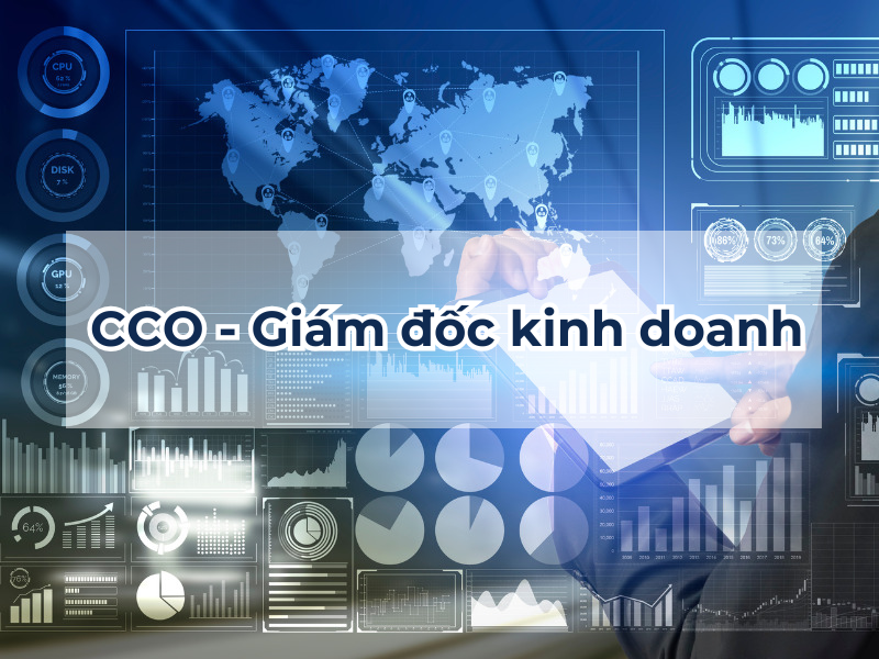 CCO chịu trách nhiệm điều hành kinh doanh