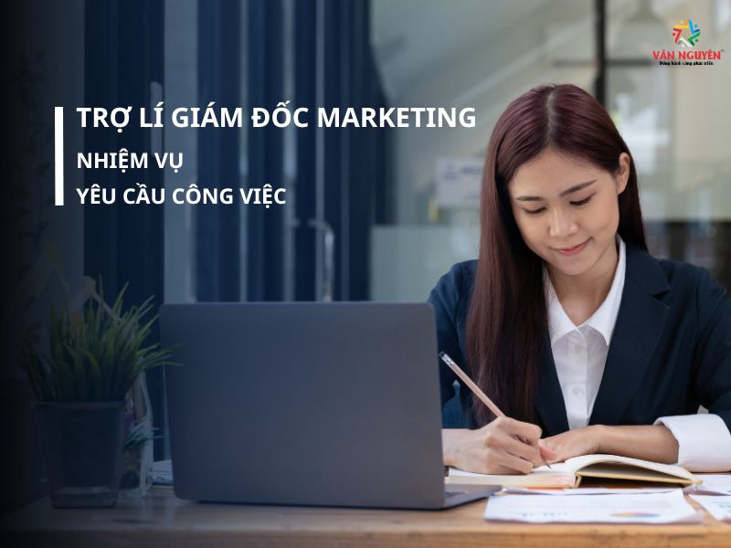 Trợ lí giám đốc Marketing là gì?