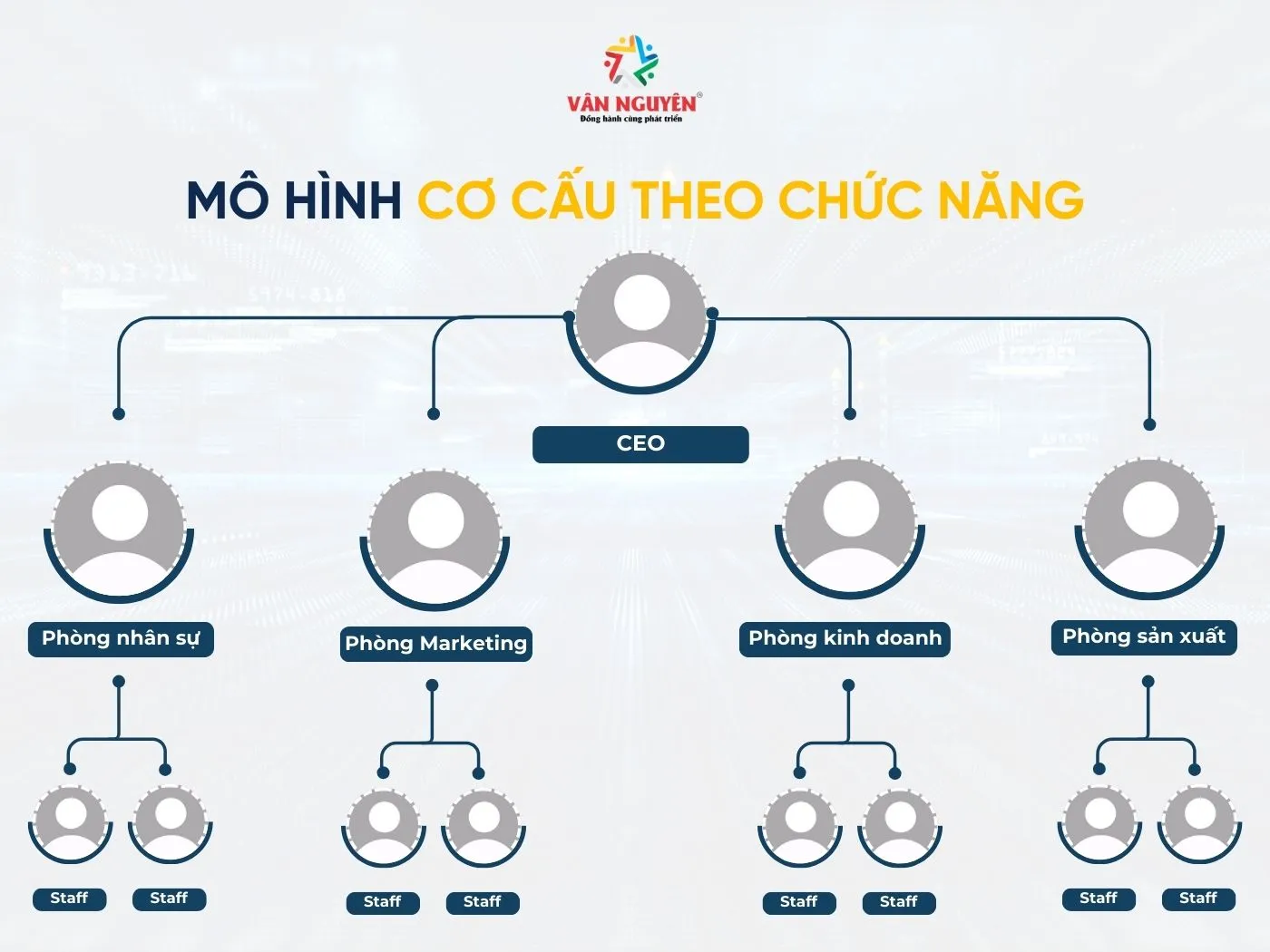Mô hình cơ cấu theo chức năng