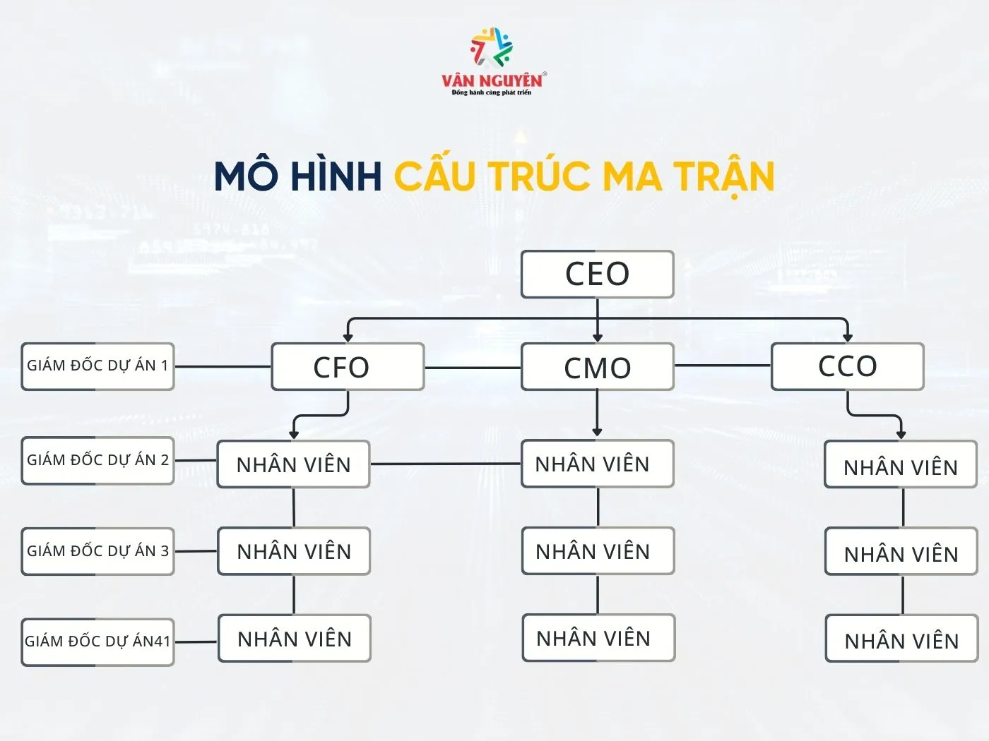 Mô hình tổ chức ma trận