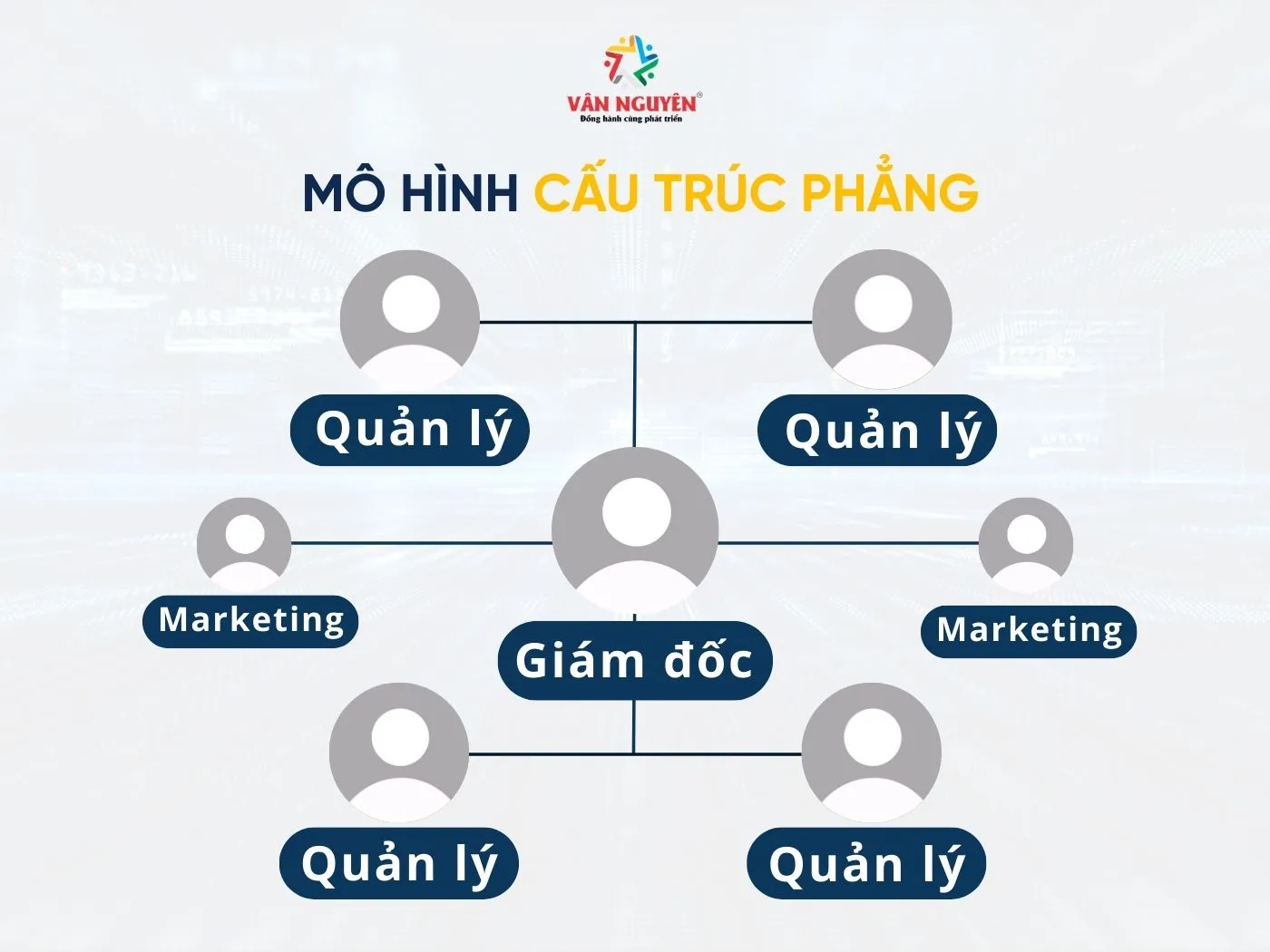 Mô hình cấu trúc phẳng