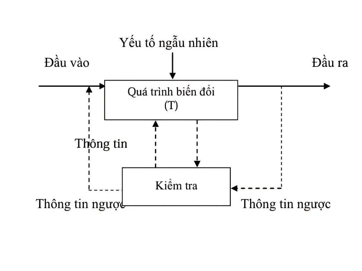 Sơ đồ hệ thống sản xuất