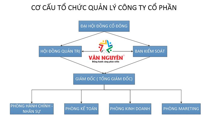 Mô hình tổ chức công ty cổ phần phổ biến tại Việt Nam  LegalTech